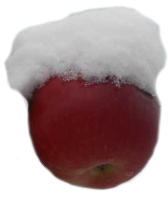 Apfel mit Schneehaube